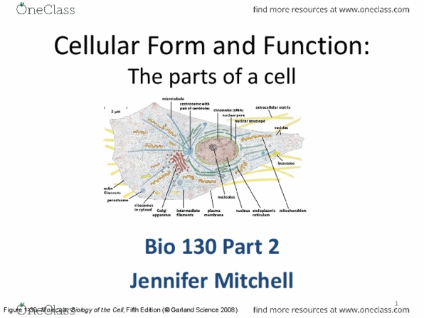BIO120H1 Lecture Notes - Lecture 1: Cancer Research Uk, Saccharomyces Cerevisiae, Lipid Bilayer thumbnail