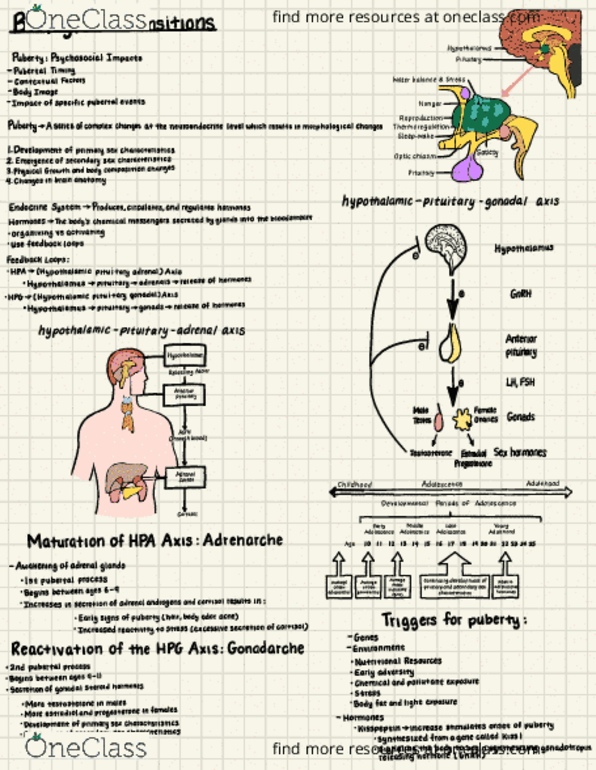 document preview image