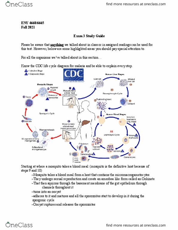 ENY 4660 Study Guide - Spring 2023, quiz - Dengue Virus, Mallophaga ...