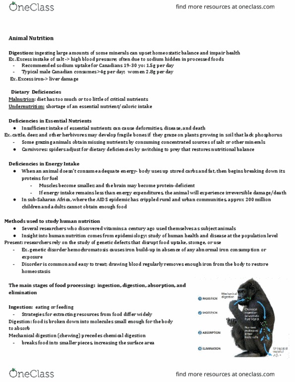 Biol Study Guide Spring Midterm Sub Saharan Africa