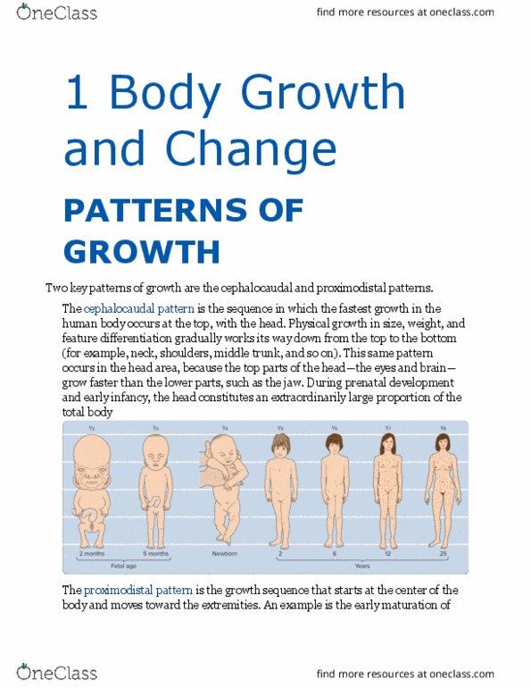 PSY 1200 Chapter Notes - Chapter Chapter 2: Prenatal Development, Global Brain, Olfactory Bulb thumbnail