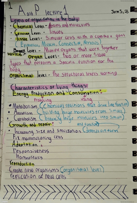 document preview image