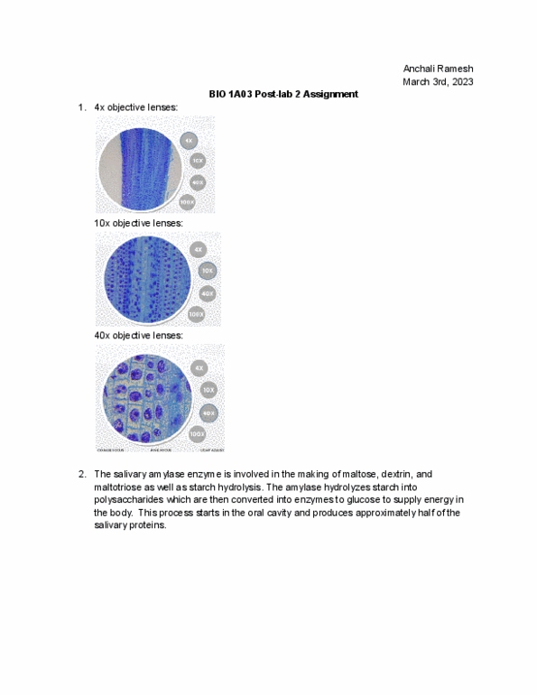 document preview image