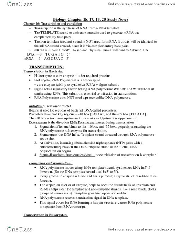 BIOLOGY 1A03 Chapter 16: Bio 1A03 - Biology Chapter 16, 17, 19, 20 Study Notes.docx thumbnail