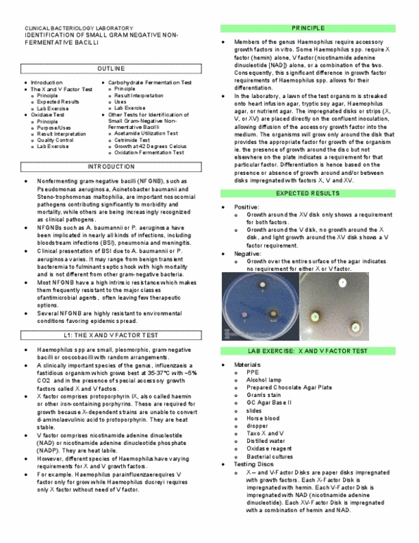 document preview image