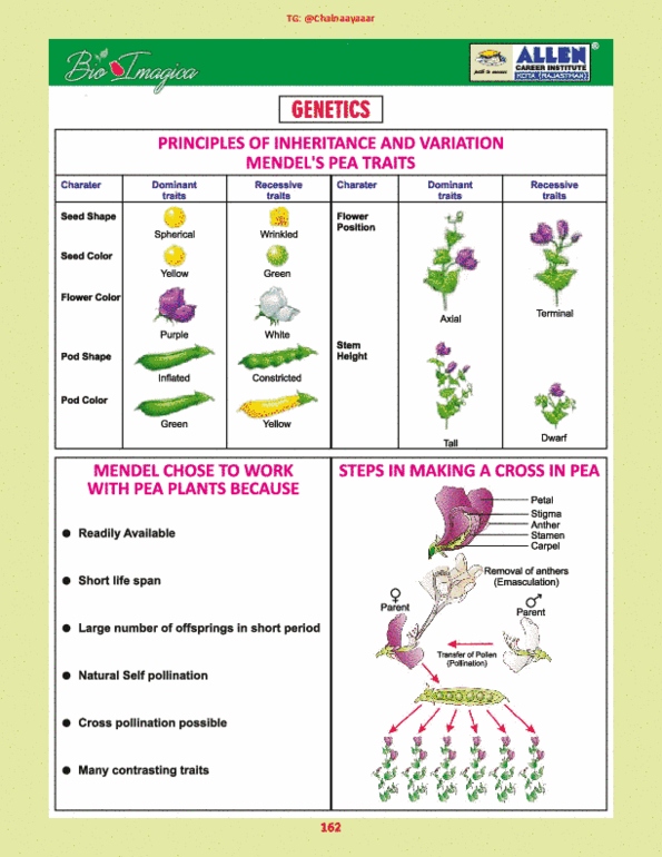 document preview image