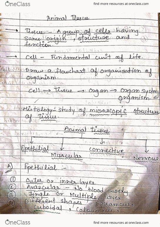 document preview image