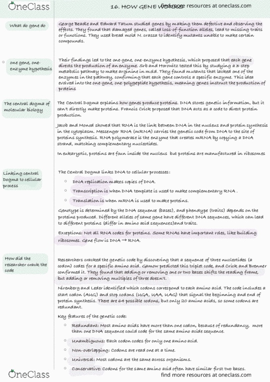document preview image