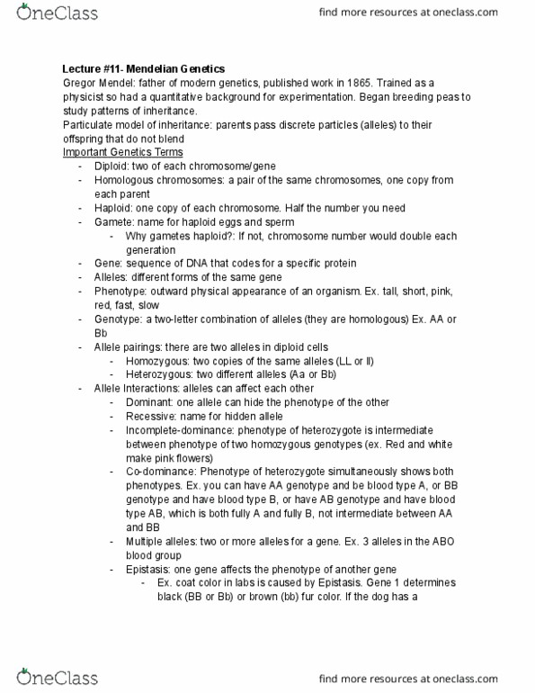 document preview image