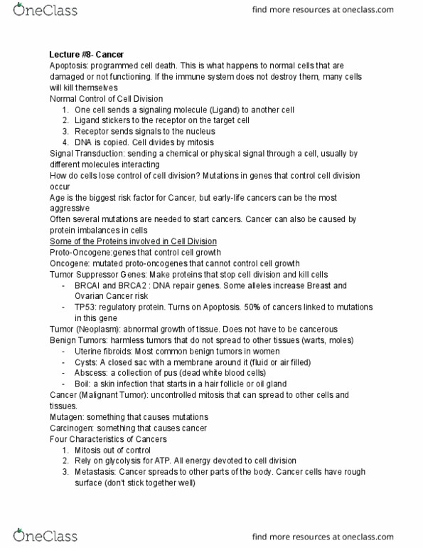 document preview image