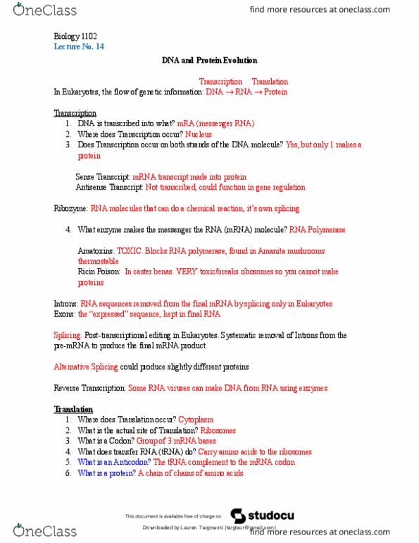 document preview image