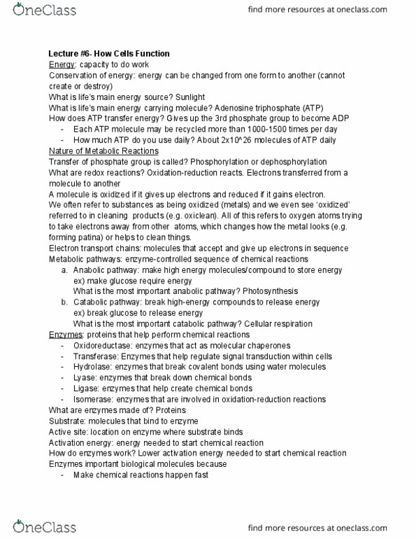 document preview image
