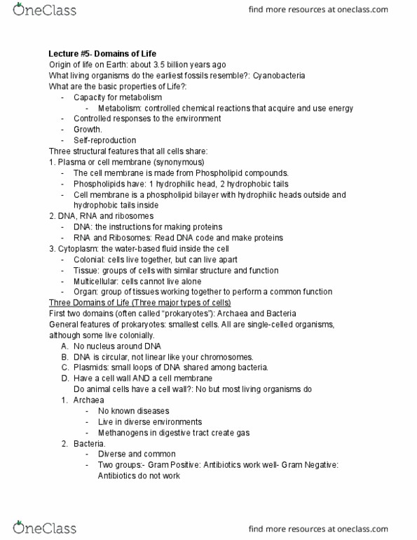 document preview image
