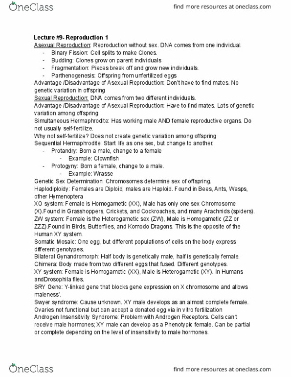 document preview image