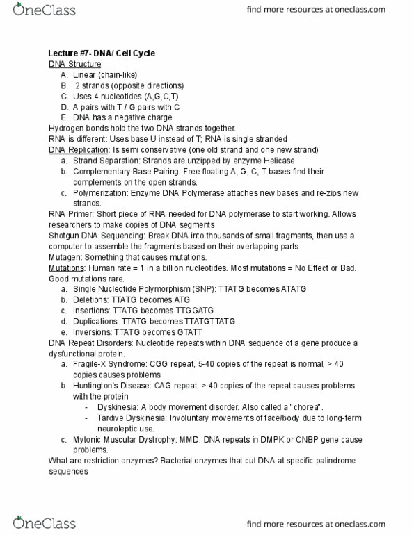 document preview image