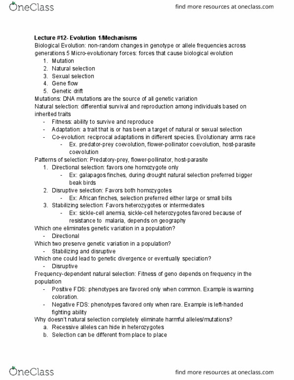 document preview image