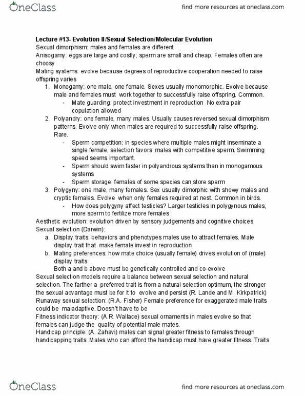 document preview image