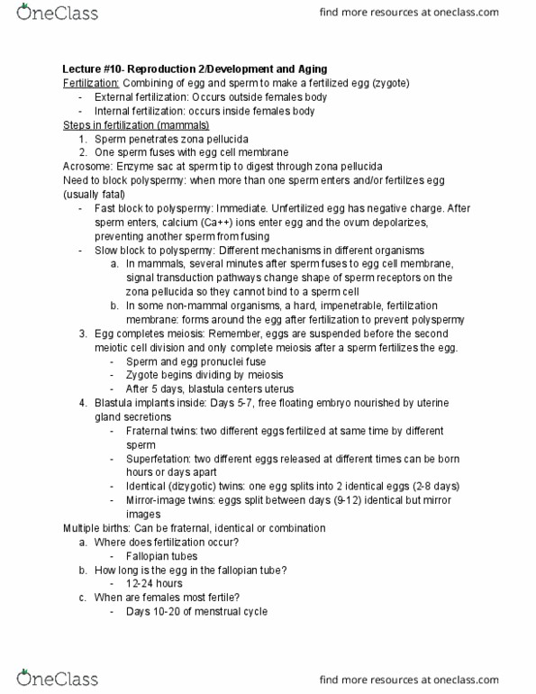 document preview image