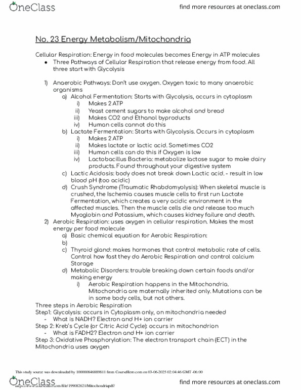 document preview image