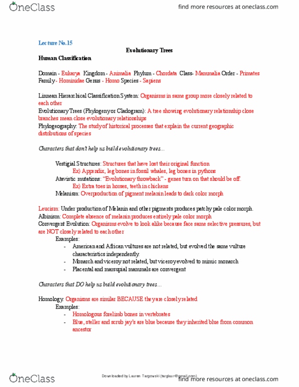 document preview image