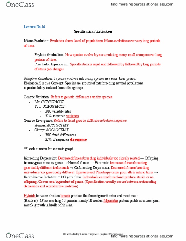 document preview image