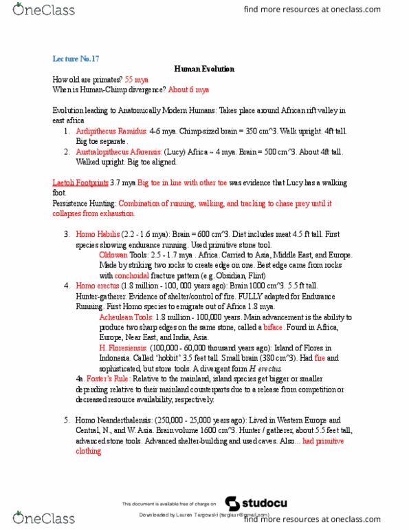 document preview image