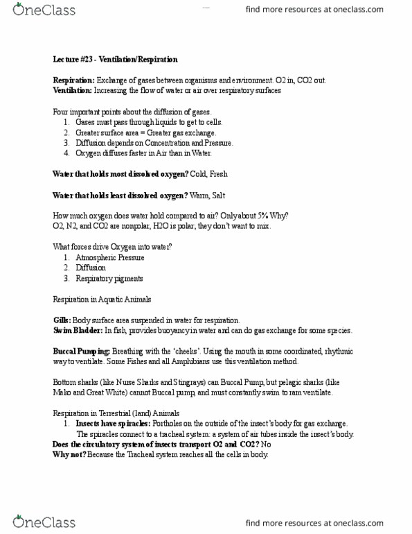 document preview image
