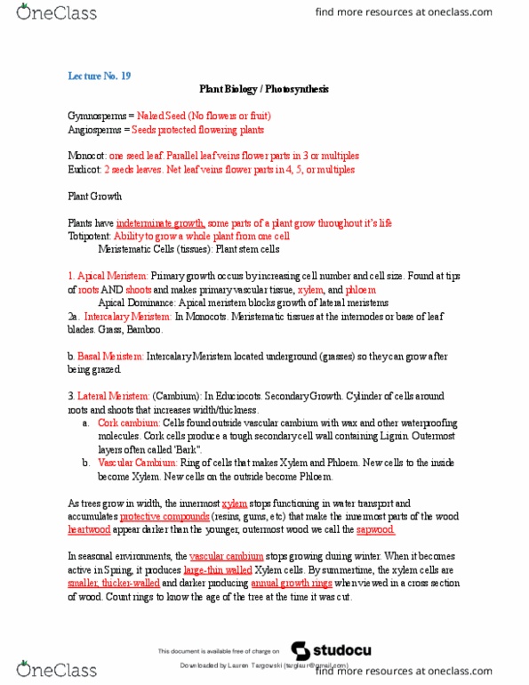 document preview image
