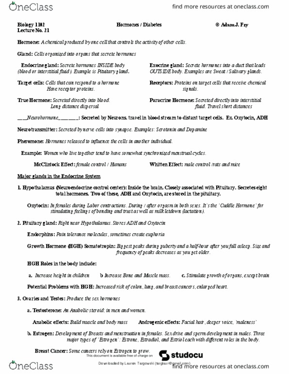 document preview image