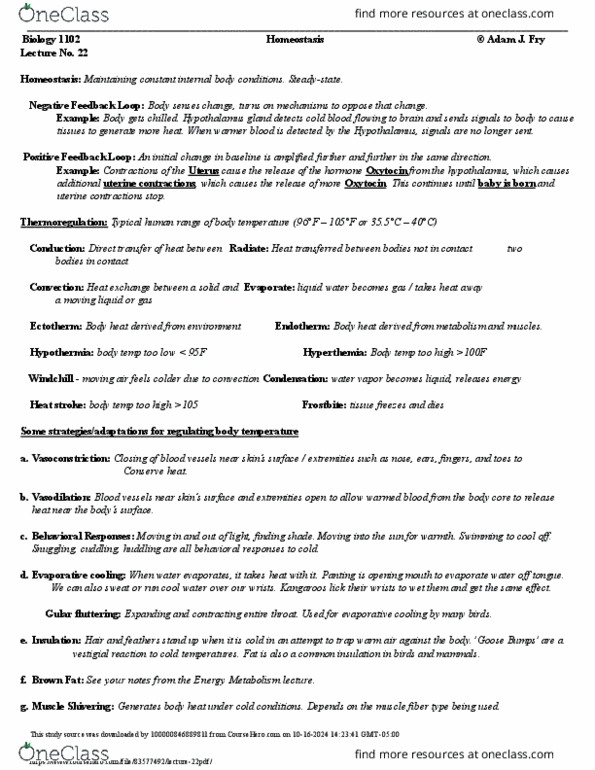 document preview image