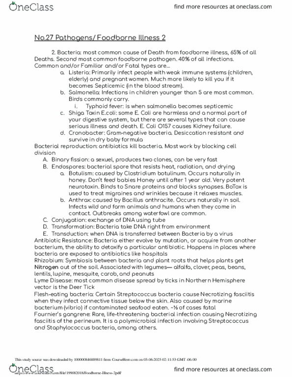 document preview image