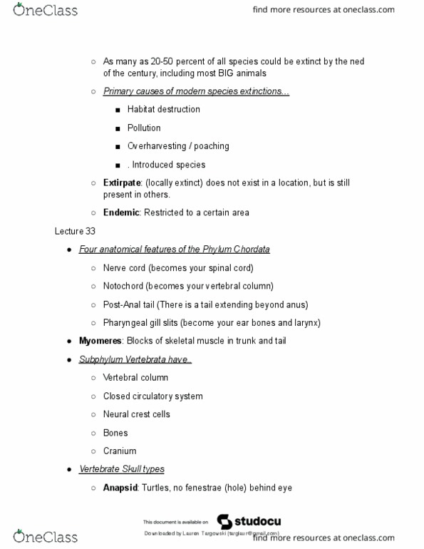 document preview image