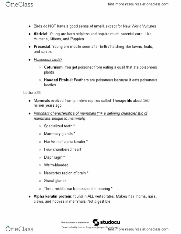 document preview image