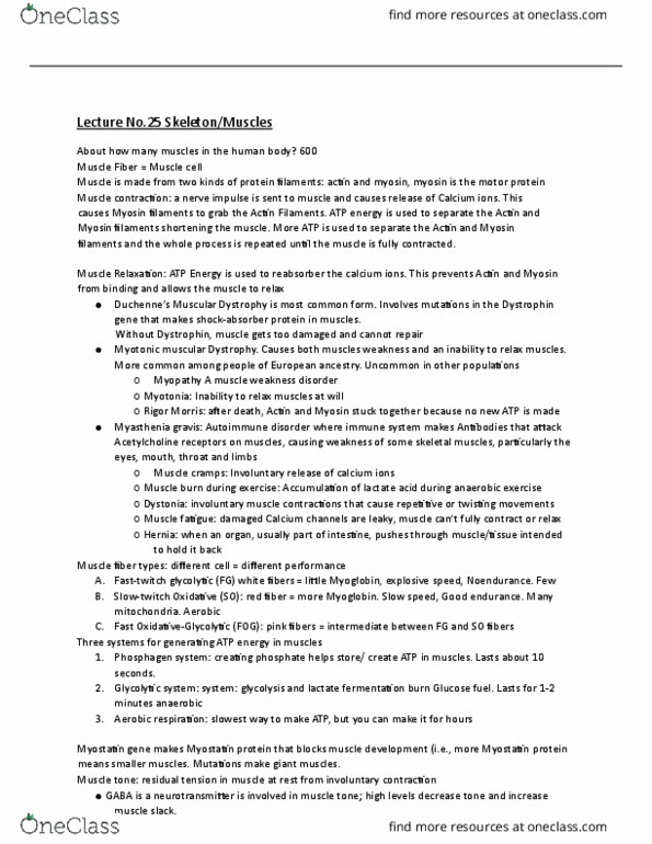 document preview image