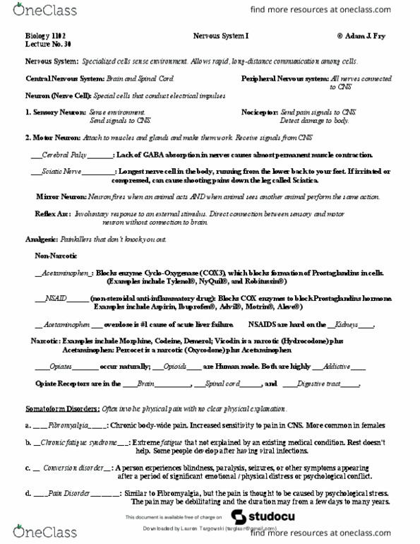 document preview image