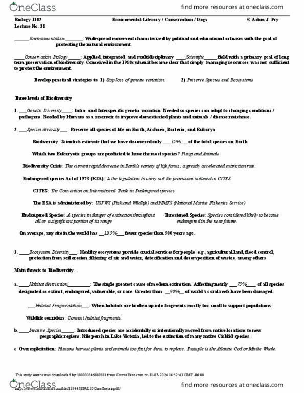 document preview image