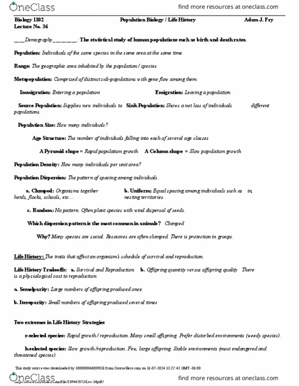 document preview image