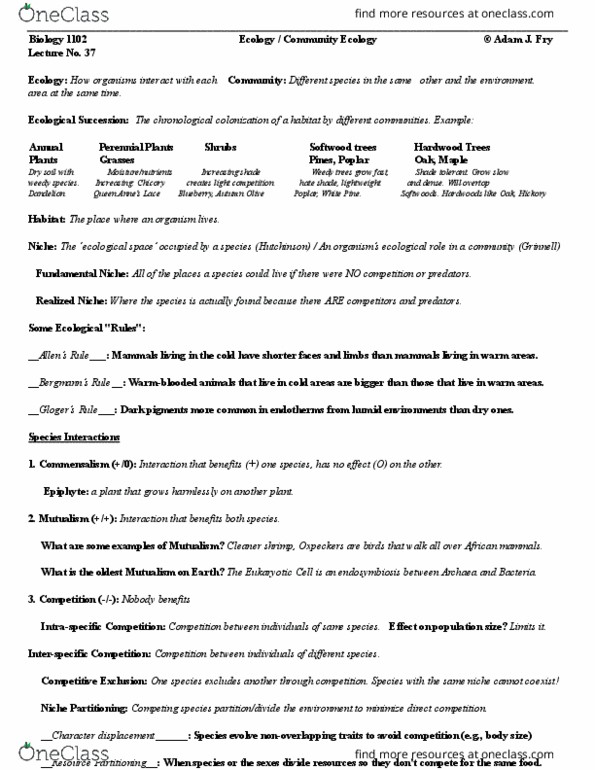 document preview image