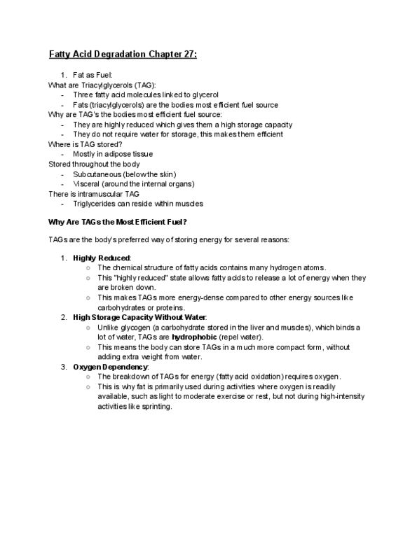 document preview image