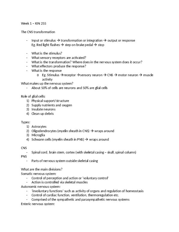 document preview image