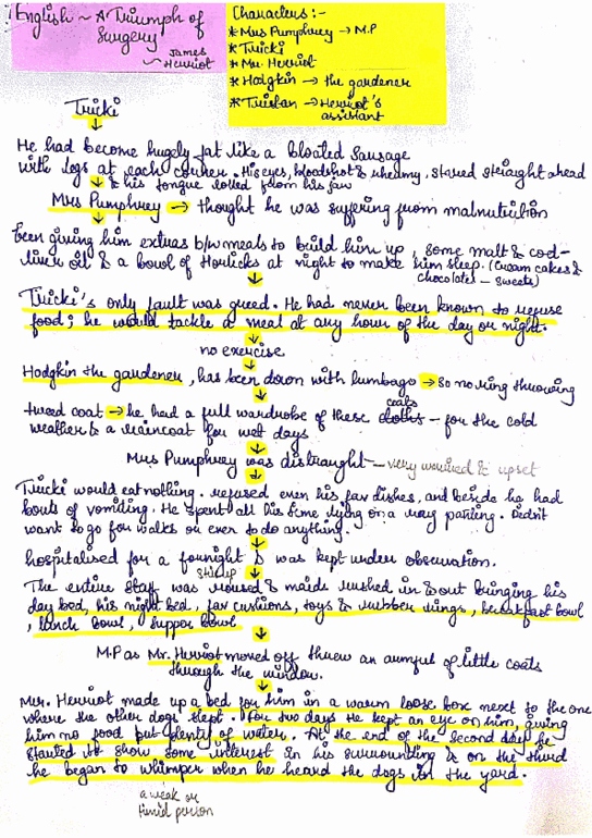 document preview image