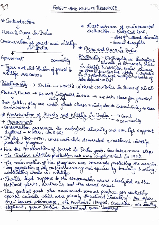 document preview image
