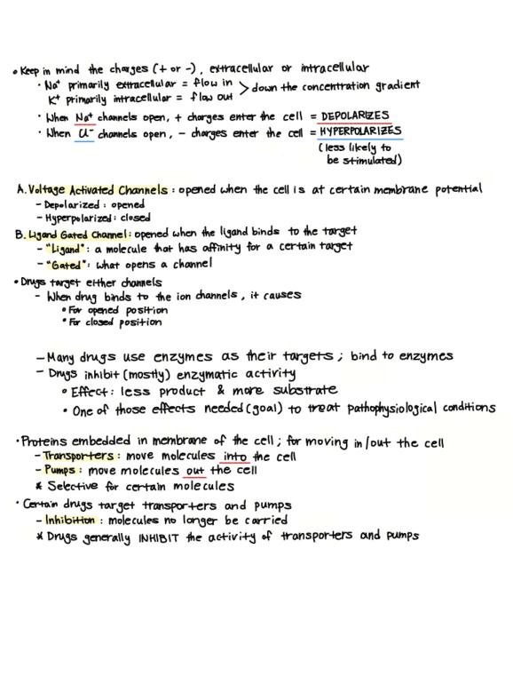 document preview image