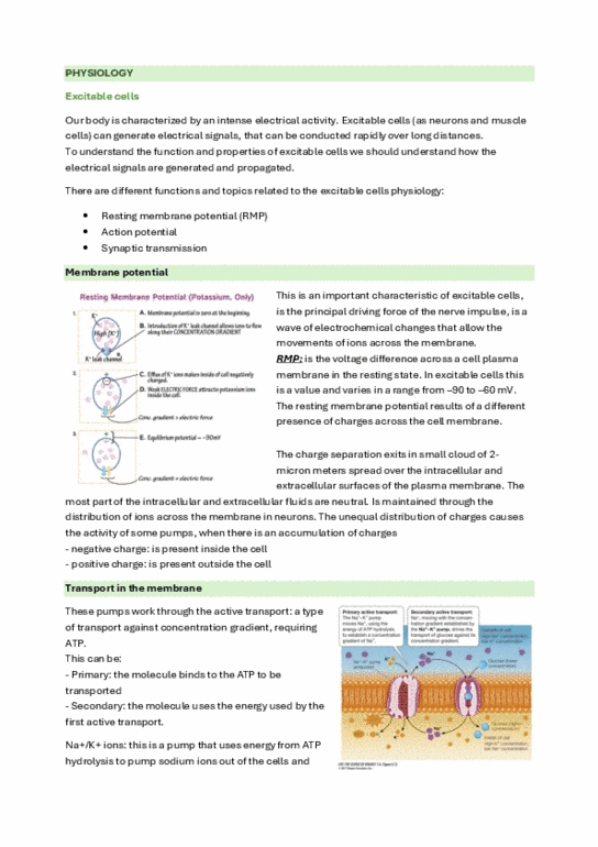 document preview image