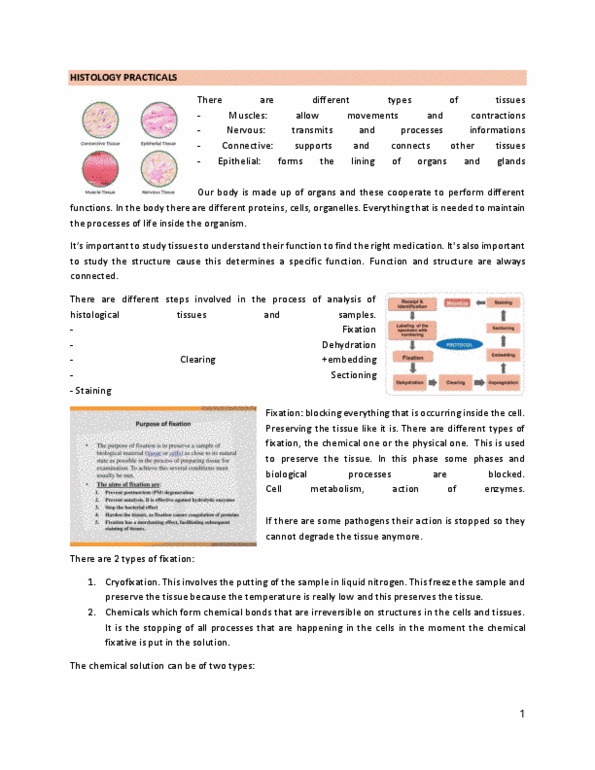 document preview image