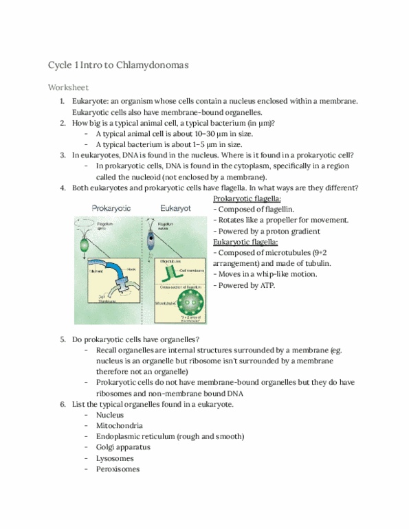 document preview image