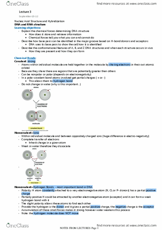 BIOL308 Lecture Notes - Lecture 3: Chemical Polarity, Hydrogen Bond, Electronegativity thumbnail