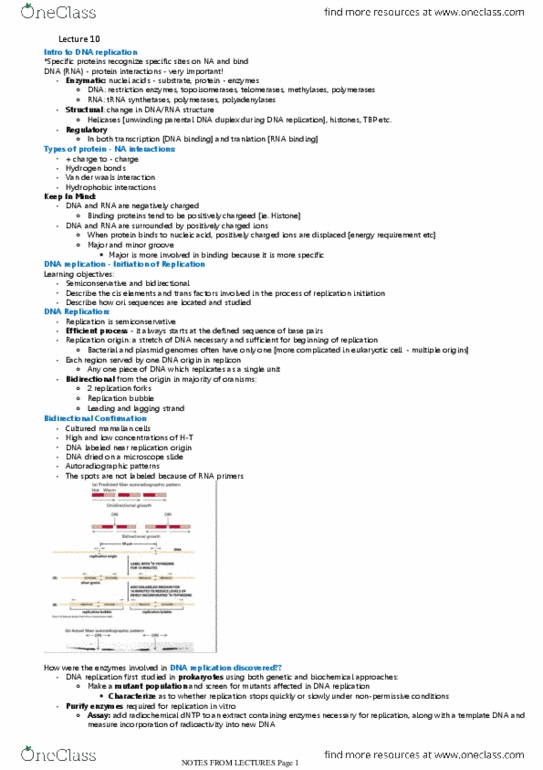 BIOL308 Lecture Notes - Lecture 10: Methyltransferase, Tata-Binding Protein, Transfer Rna thumbnail