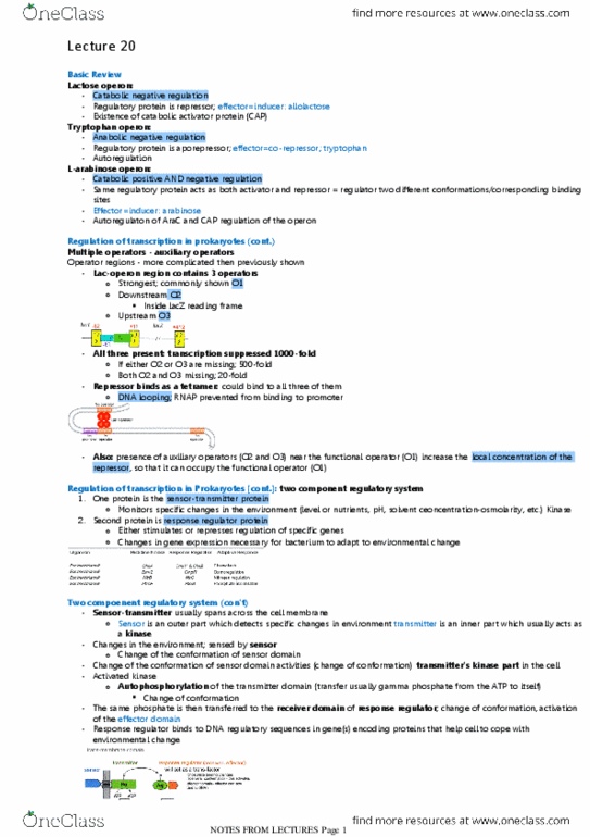 BIOL308 Lecture Notes - Lecture 20: Dna-Binding Domain, Operon, Repressor thumbnail