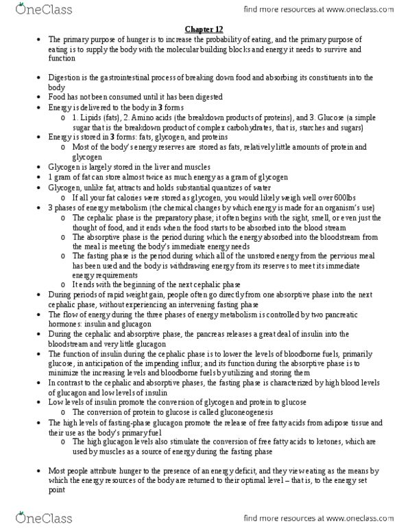 PS263 Chapter Notes -Glycogen, Blood Sugar, Digestion thumbnail